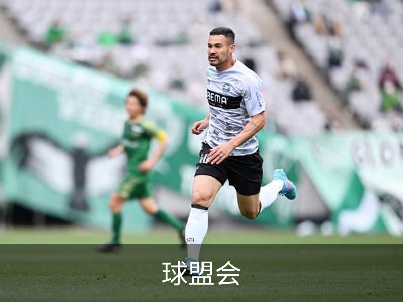 了解球盟会